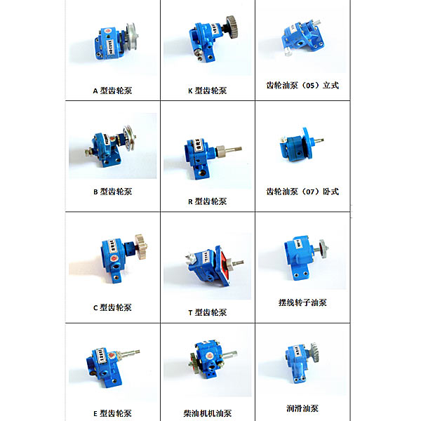 YLCLB-1 gear pump pump disassembly surve